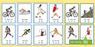 综合体育长期赛事观察 持续追踪竞技变化