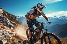 体育博彩算法软件市场研究