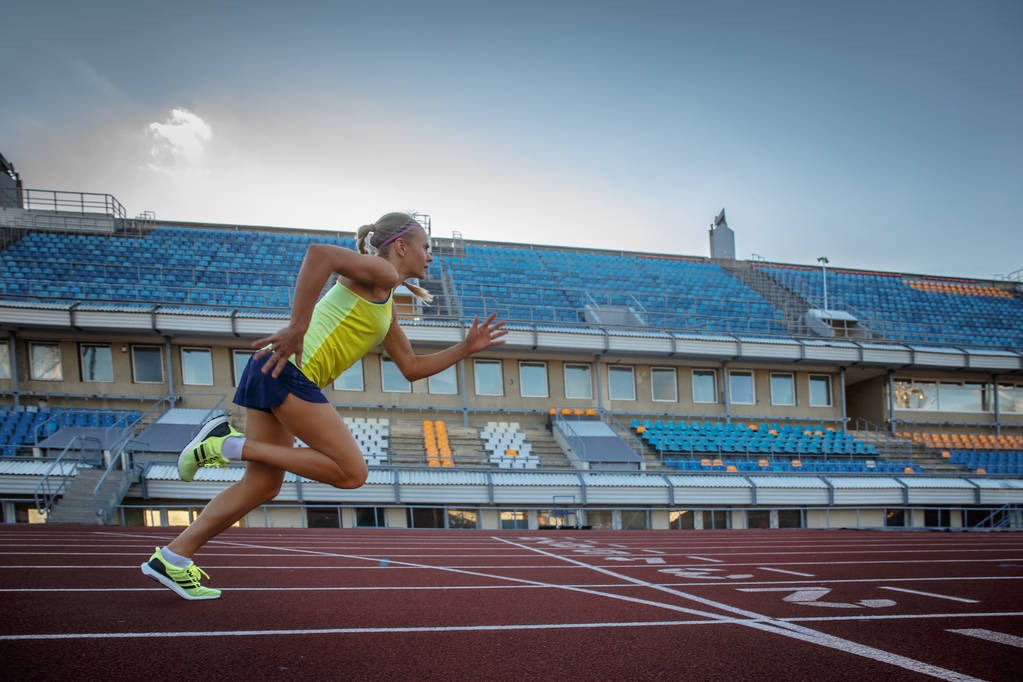 解析迈阿密马林鱼在加勒比海的深厚根基